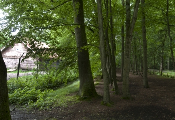 Scouting St. George verhuur pionierveld