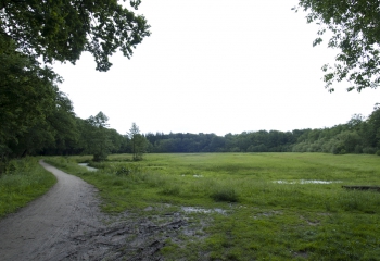 Scouting St. George verhuur moeras