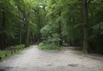 Scouting St. George verhuur kruispunt