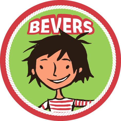 Bevers